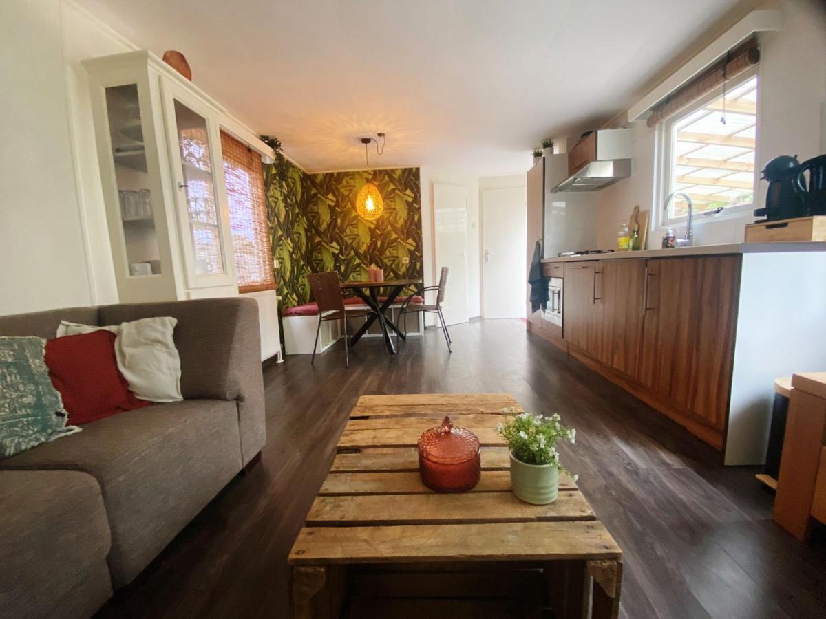 Chalet With Access To The Woods - No 147 Anloo Exteriör bild