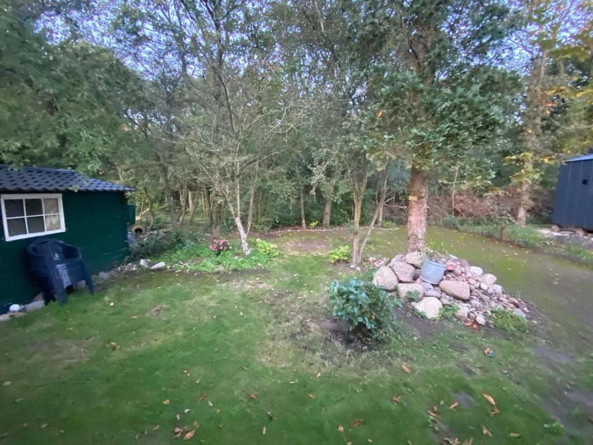 Chalet With Access To The Woods - No 147 Anloo Exteriör bild
